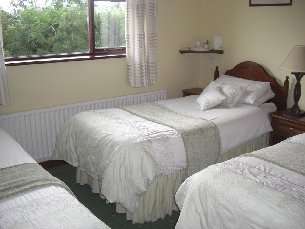 Bed and Breakfast Springlawn Clarinbridge Pokój zdjęcie